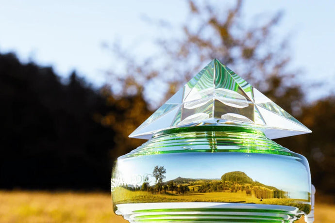 A Year of Wellness: How Somavedic Transforms Your Life Month by Month