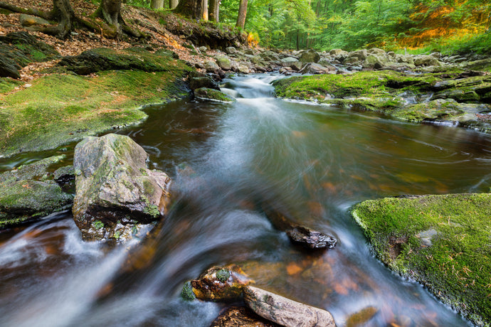 How Structured Water Can Improve Your Life